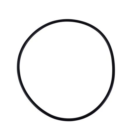 Watts-S7966-1 O-Ring, Round, Fits 10" And 20" Full Flow Filter Housings